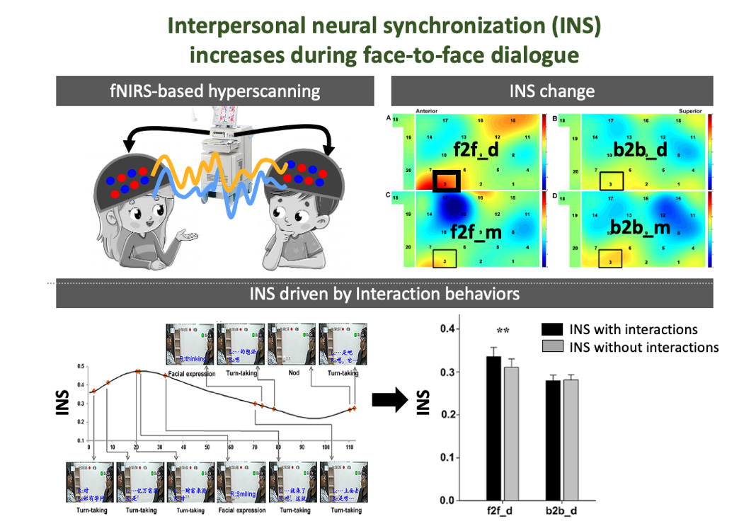 Interpersonal neural synchronization (INS) increases during face-to-face dialogue