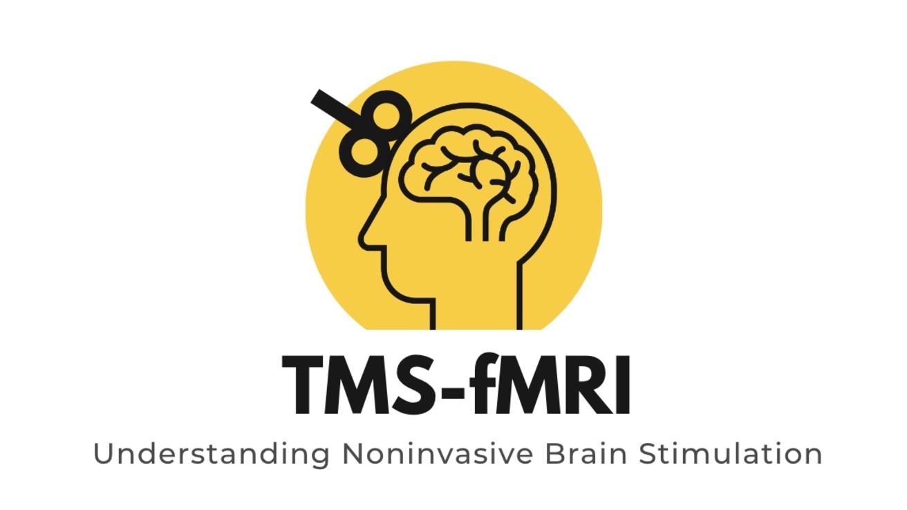 TMS-fMRI